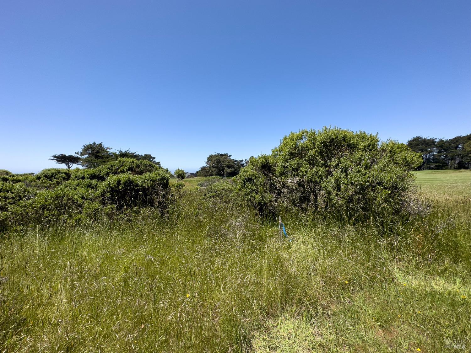 42320 Forecastle Street The Sea Ranch CA 95497