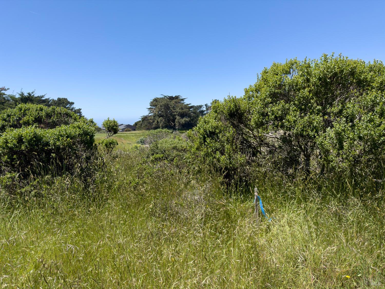 42320 Forecastle Street The Sea Ranch CA 95497