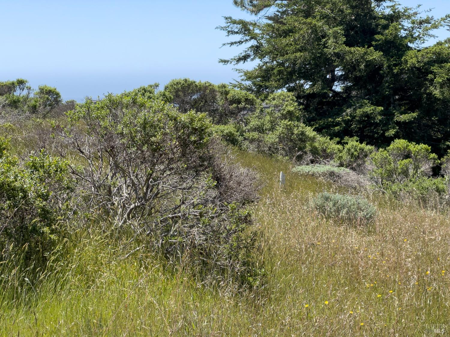 42320 Forecastle Street The Sea Ranch CA 95497