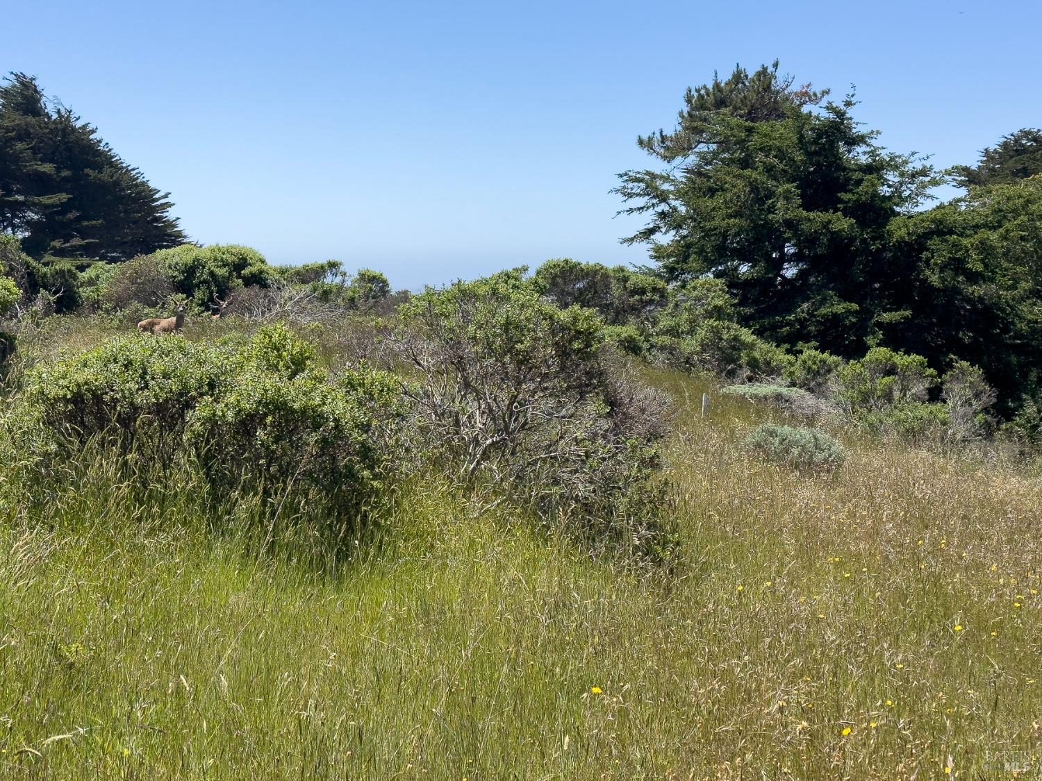 42320 Forecastle Street The Sea Ranch CA 95497