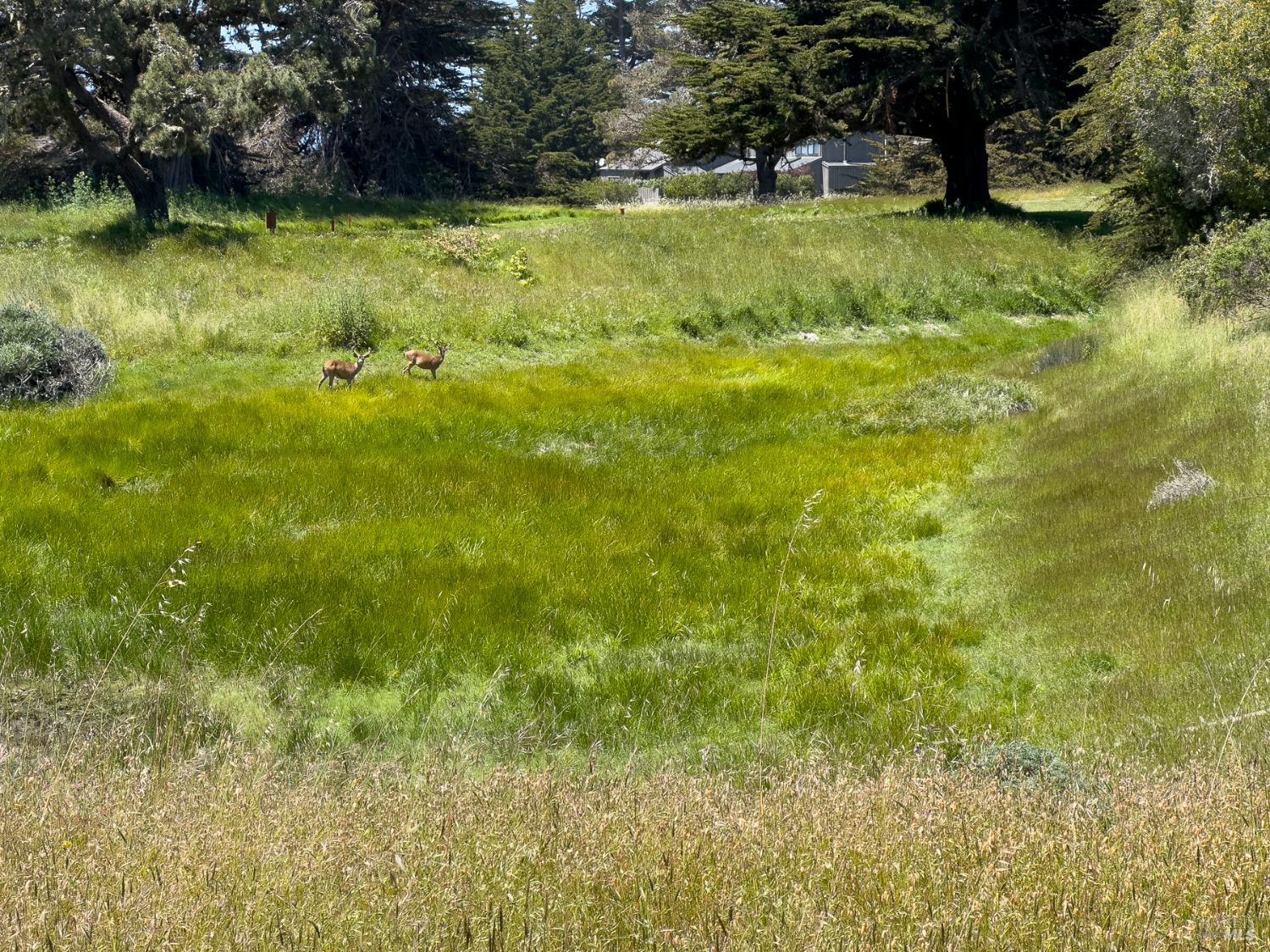 42320 Forecastle Street The Sea Ranch CA 95497