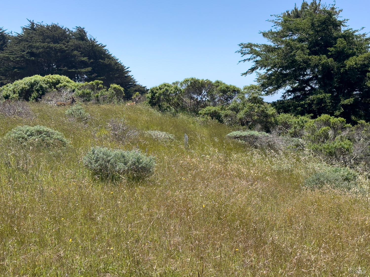 42320 Forecastle Street The Sea Ranch CA 95497