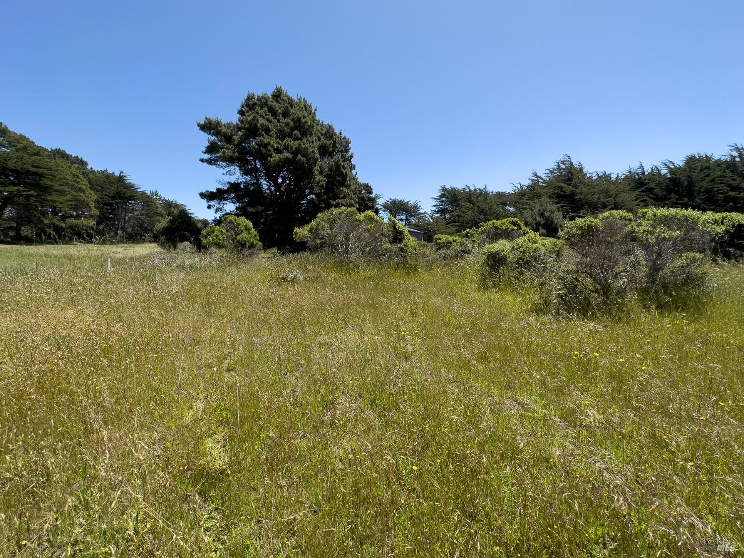 42320 Forecastle Street The Sea Ranch CA 95497