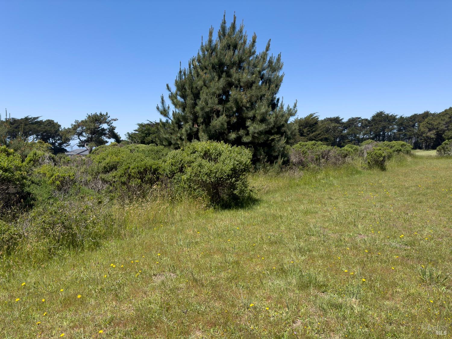 42320 Forecastle Street The Sea Ranch CA 95497