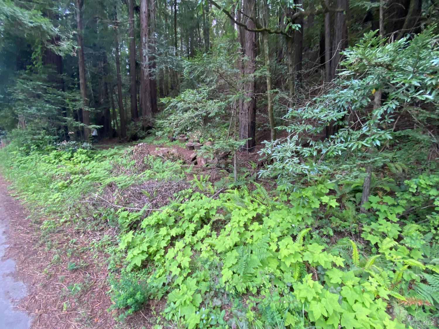925 Cazadero Highway Cazadero CA 95421