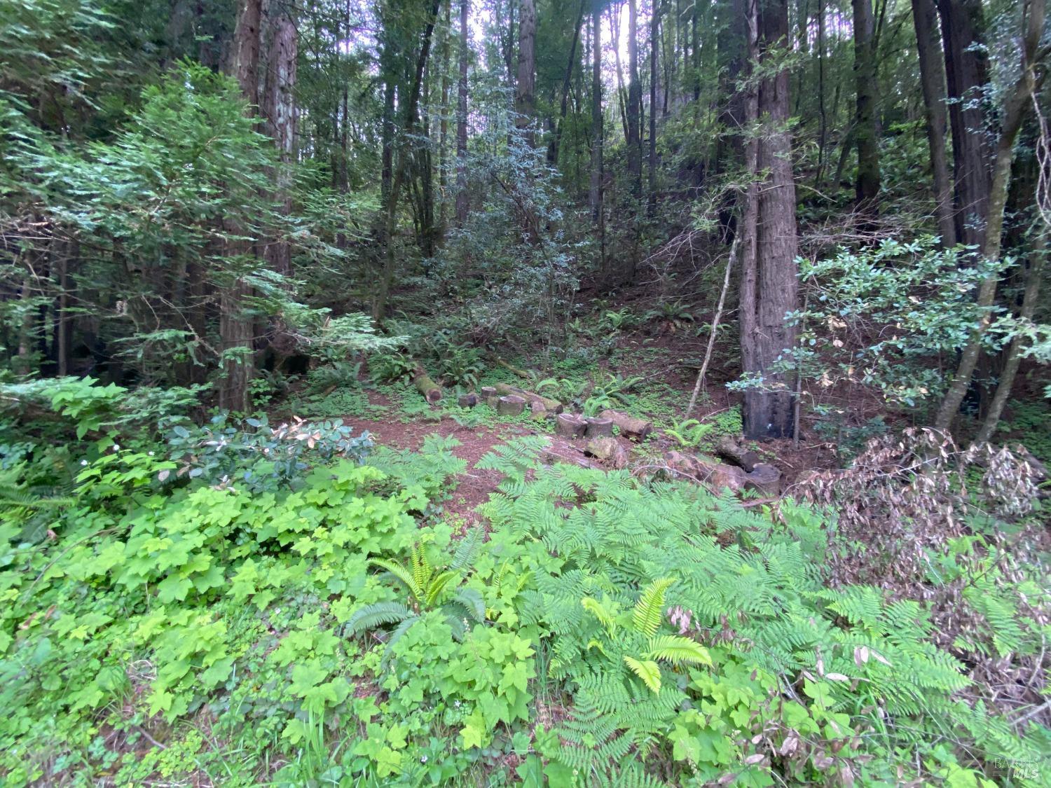 925 Cazadero Highway Cazadero CA 95421