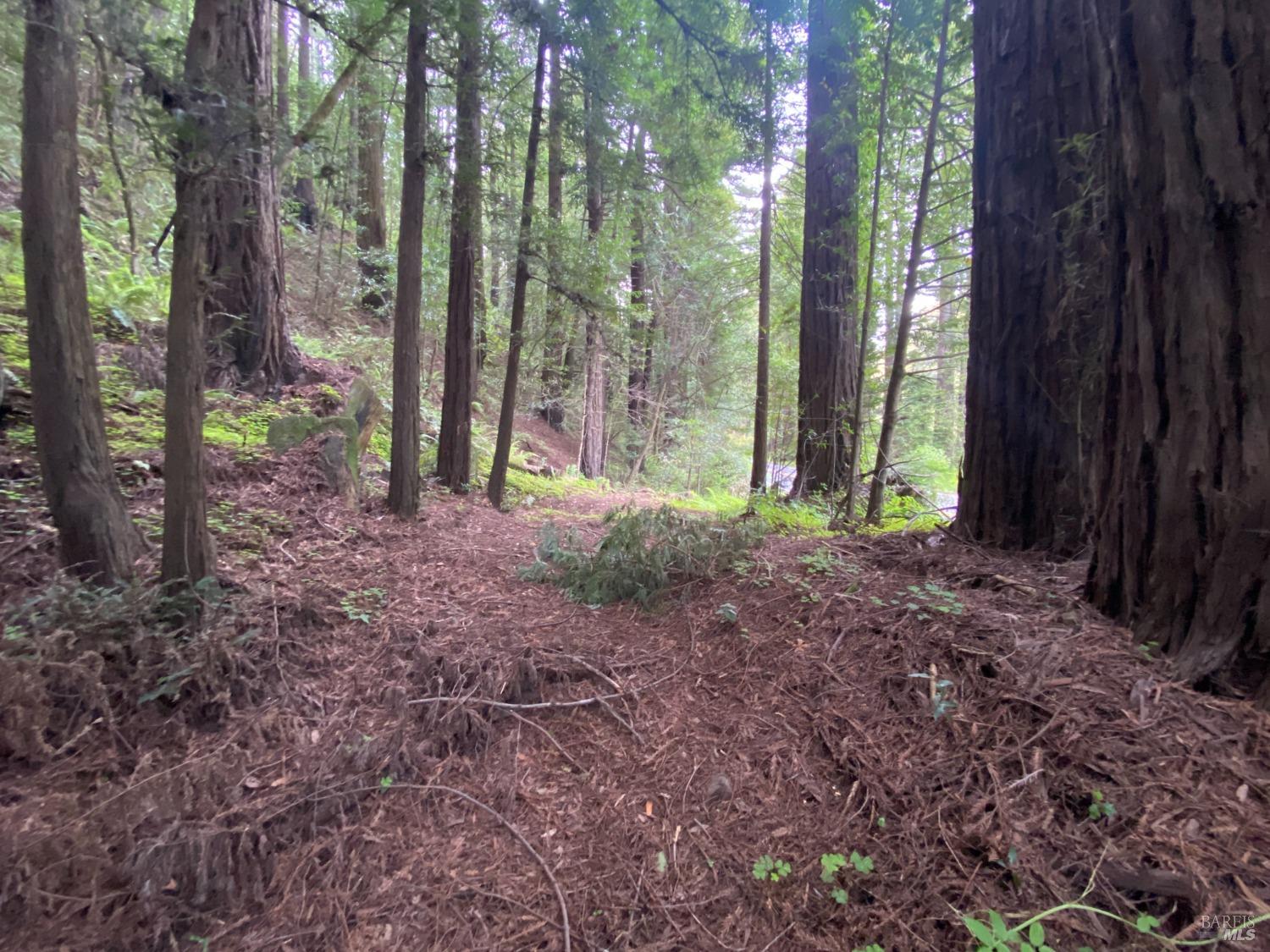 925 Cazadero Highway Cazadero CA 95421