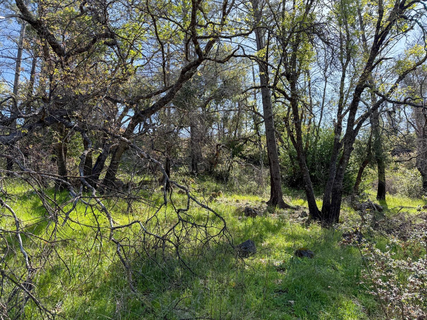 7935 Street Helena Road Santa Rosa CA 95404