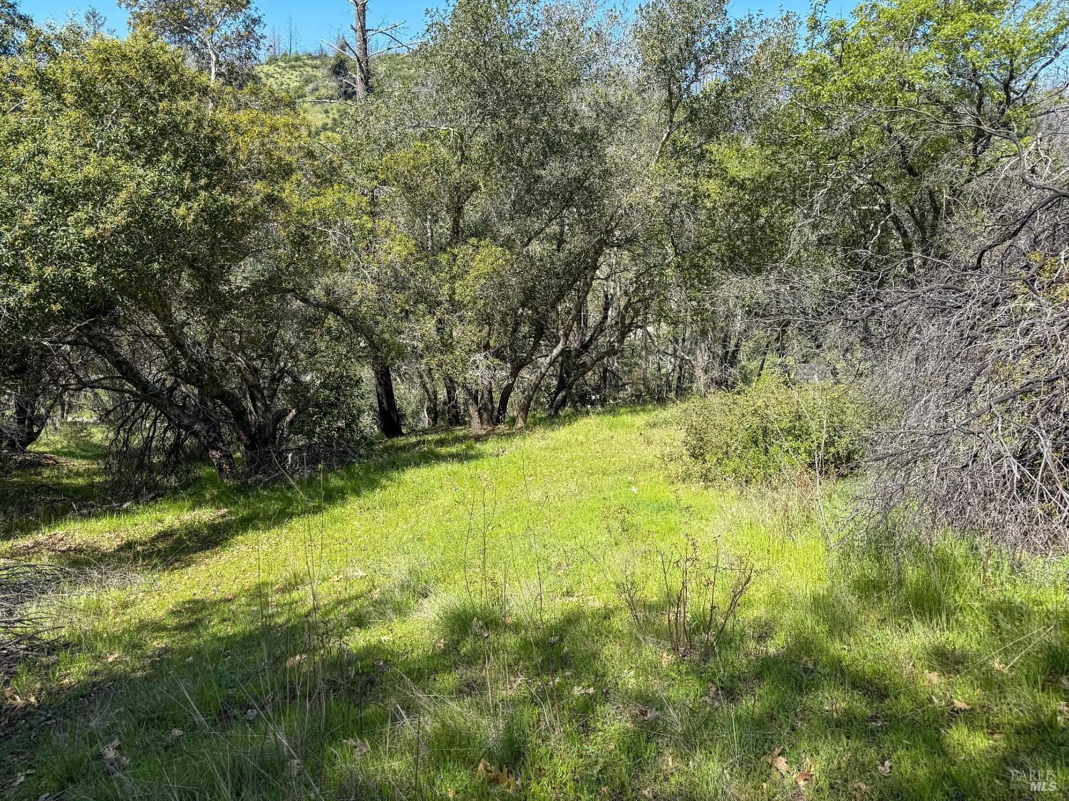7935 Street Helena Road Santa Rosa CA 95404