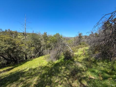 7935 Street Helena Road Santa Rosa CA 95404