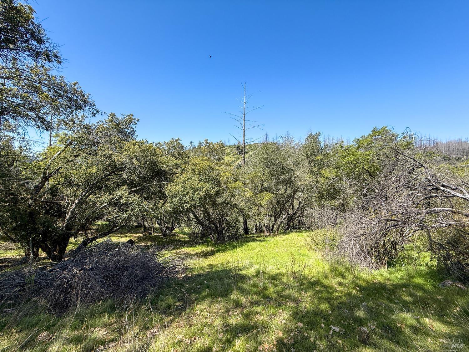 7935 Street Helena Road Santa Rosa CA 95404