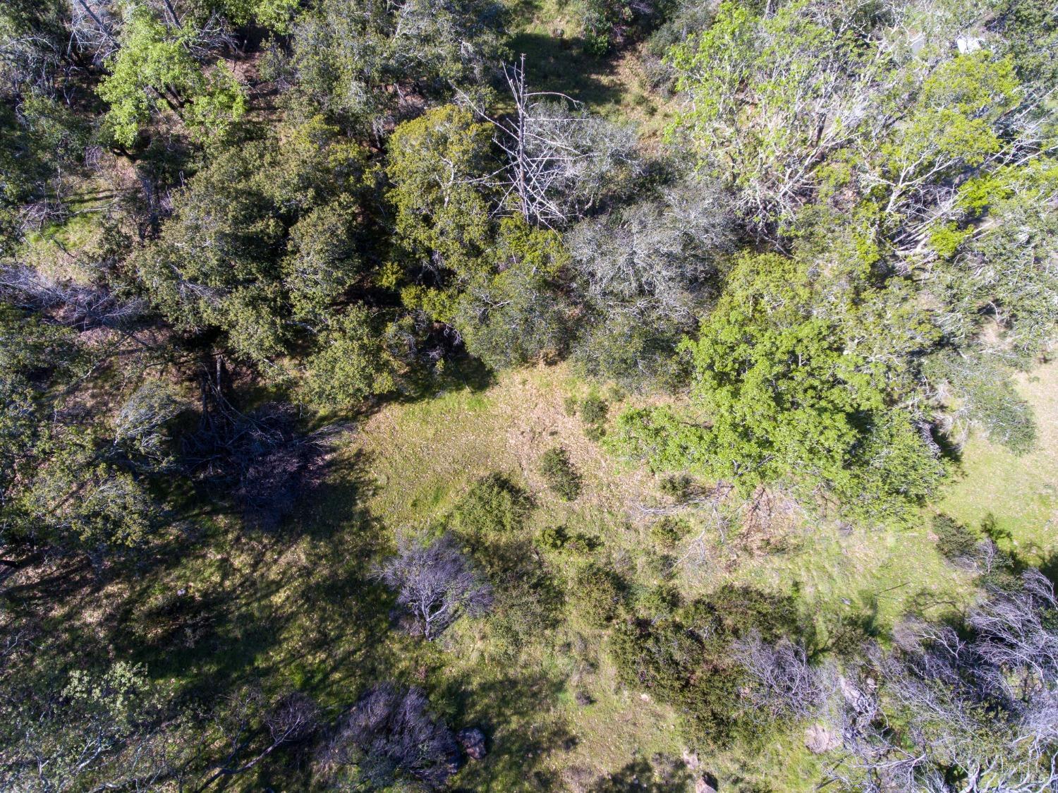 7935 Street Helena Road Santa Rosa CA 95404