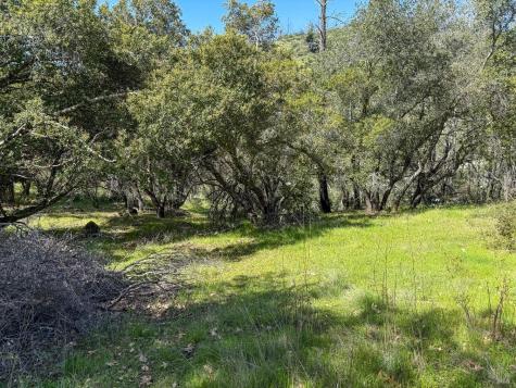 7935 Street Helena Road Santa Rosa CA 95404