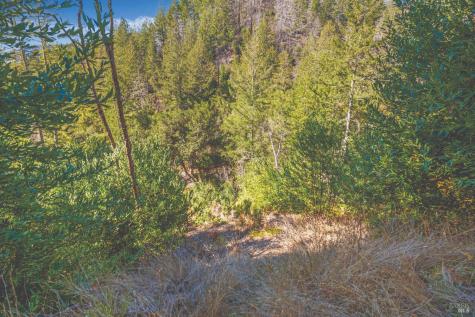 6581 St Helena Road Santa Rosa CA 95404