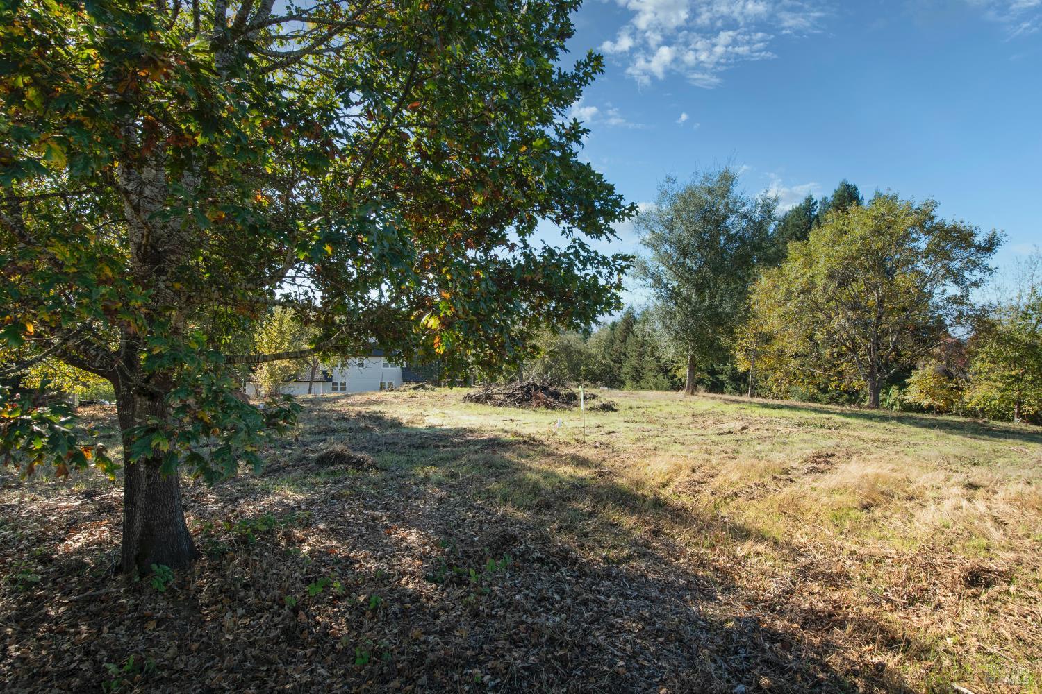 0 Covey & Davis Road Forestville CA 95436