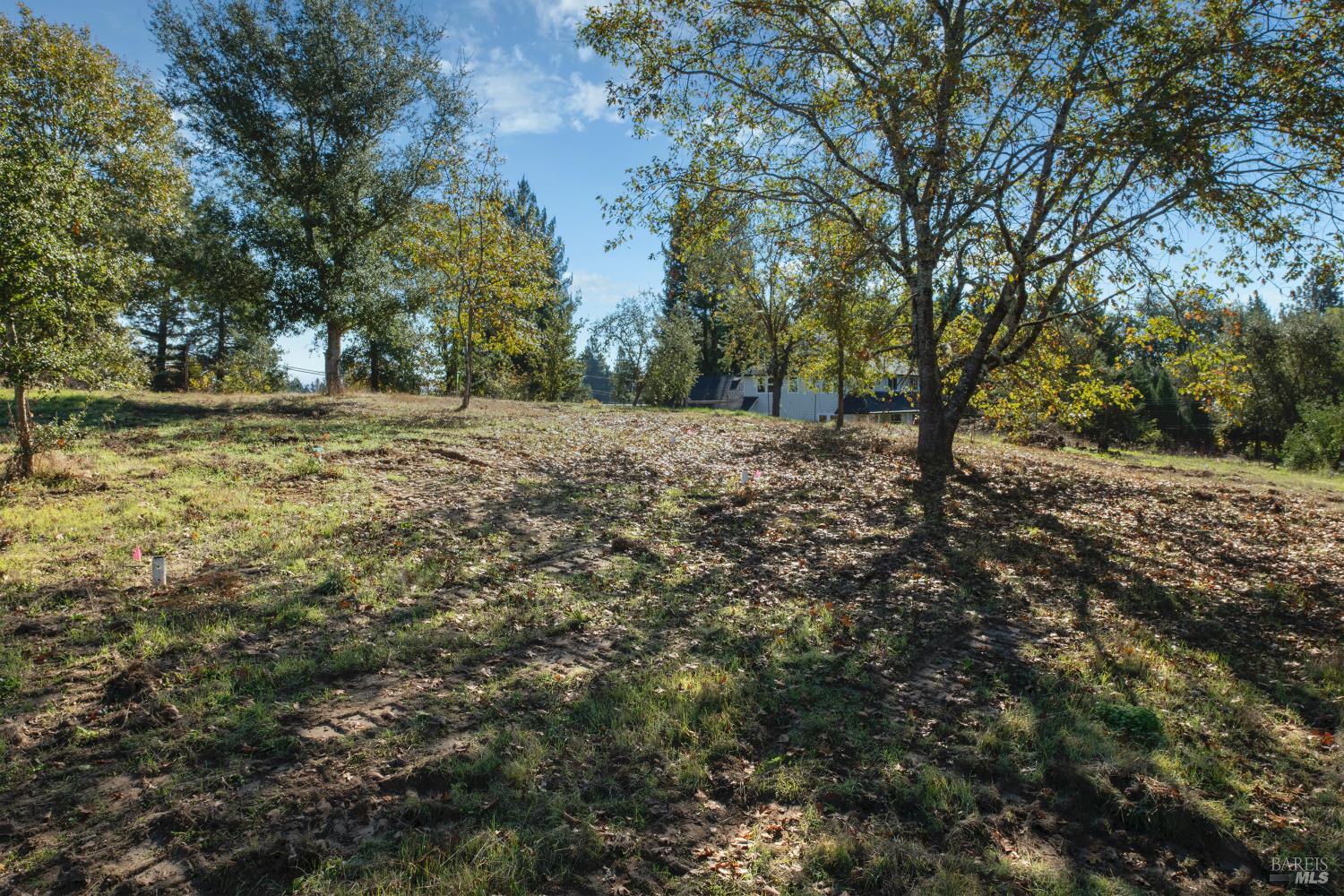 0 Covey & Davis Road Forestville CA 95436