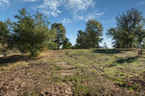 0 Covey & Davis Road Forestville CA 95436