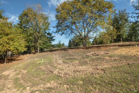 0 Covey & Davis Road Forestville CA 95436