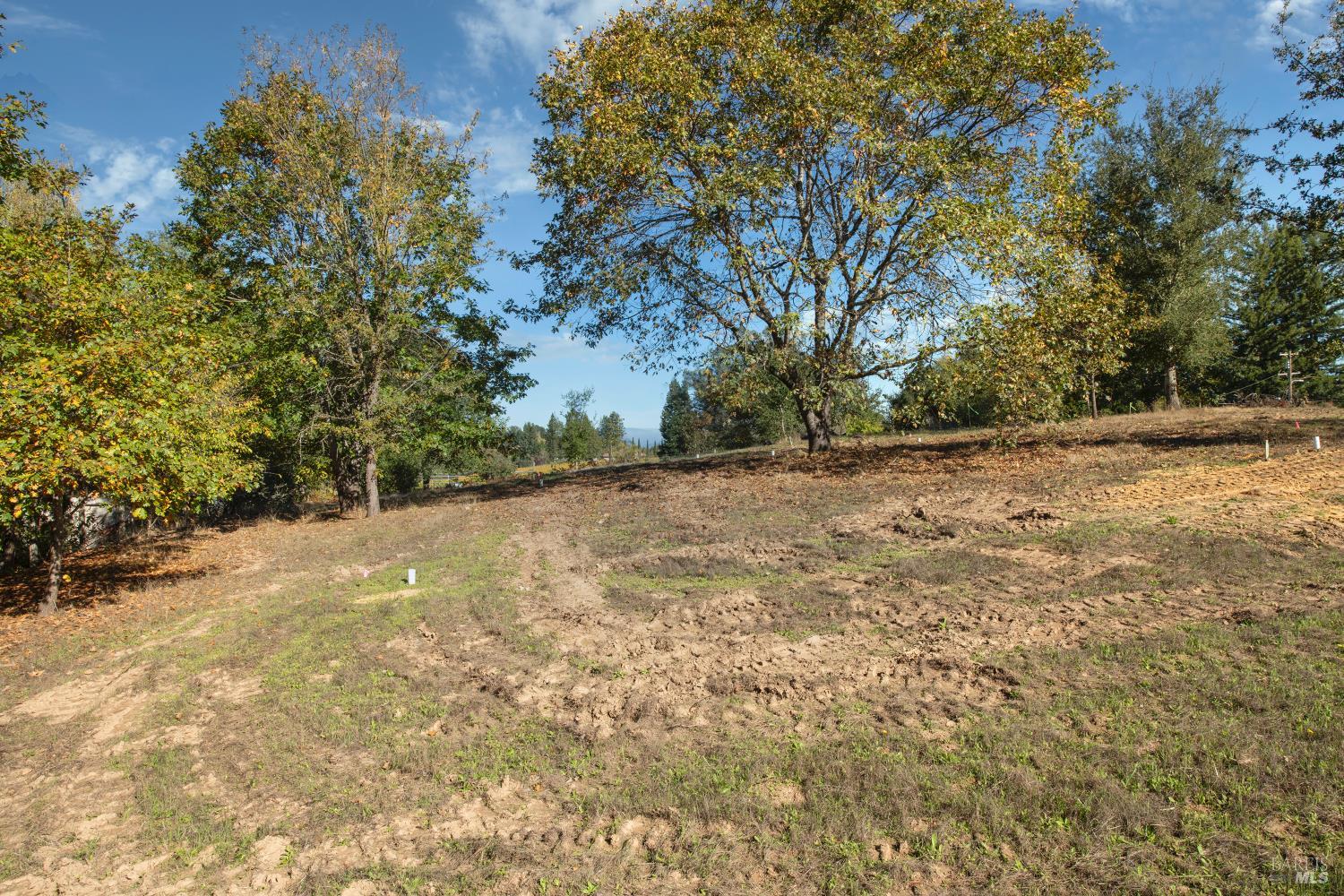 0 Covey & Davis Road Forestville CA 95436