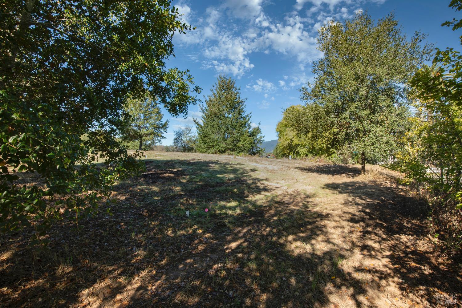 0 Covey & Davis Road Forestville CA 95436