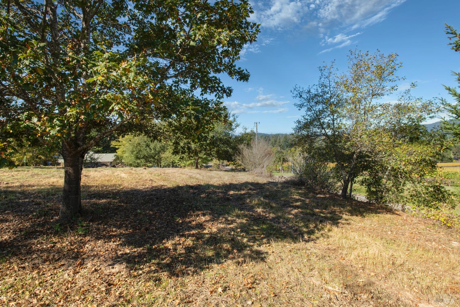 0 Covey & Davis Road Forestville CA 95436