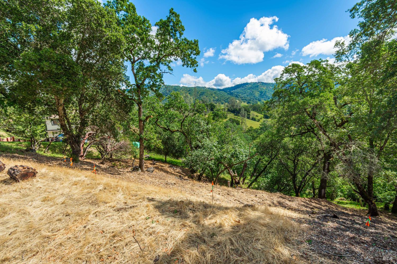 0 Sorrell Court Napa CA 94558