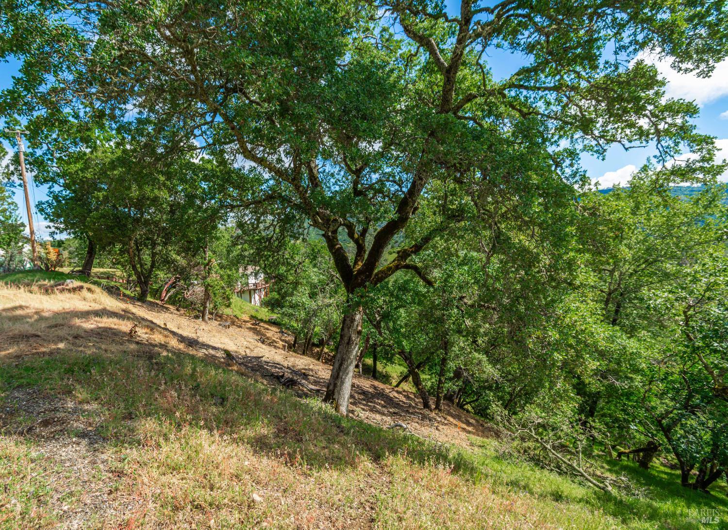 0 Sorrell Court Napa CA 94558