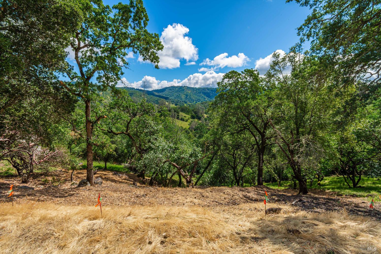 0 Sorrell Court Napa CA 94558