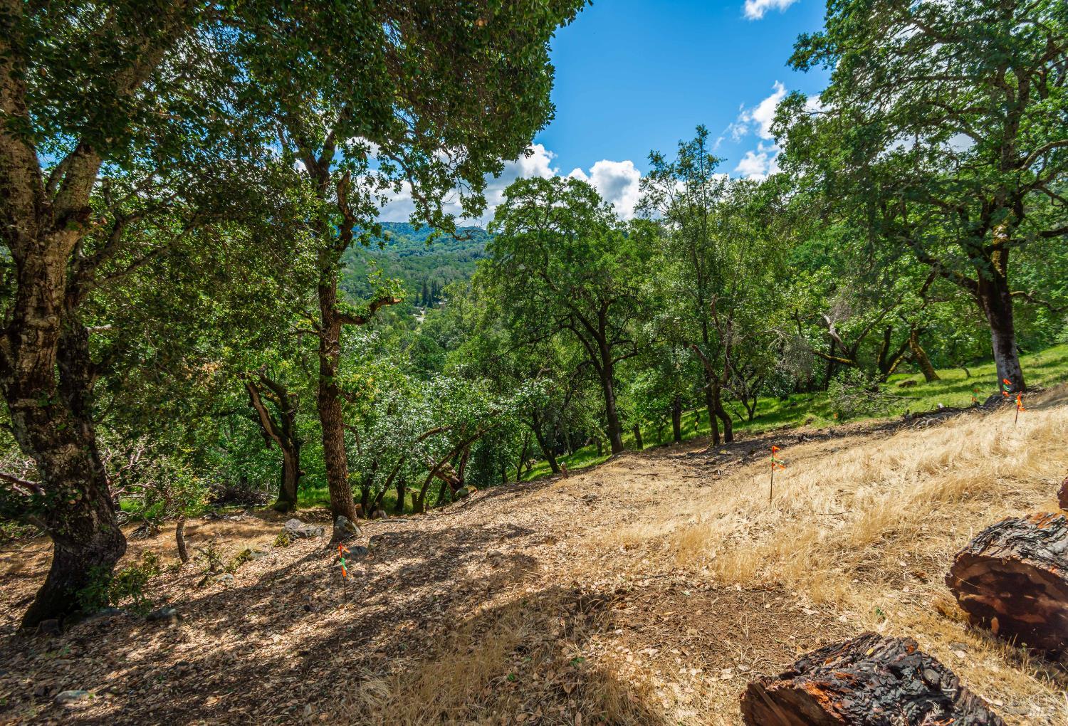 0 Sorrell Court Napa CA 94558