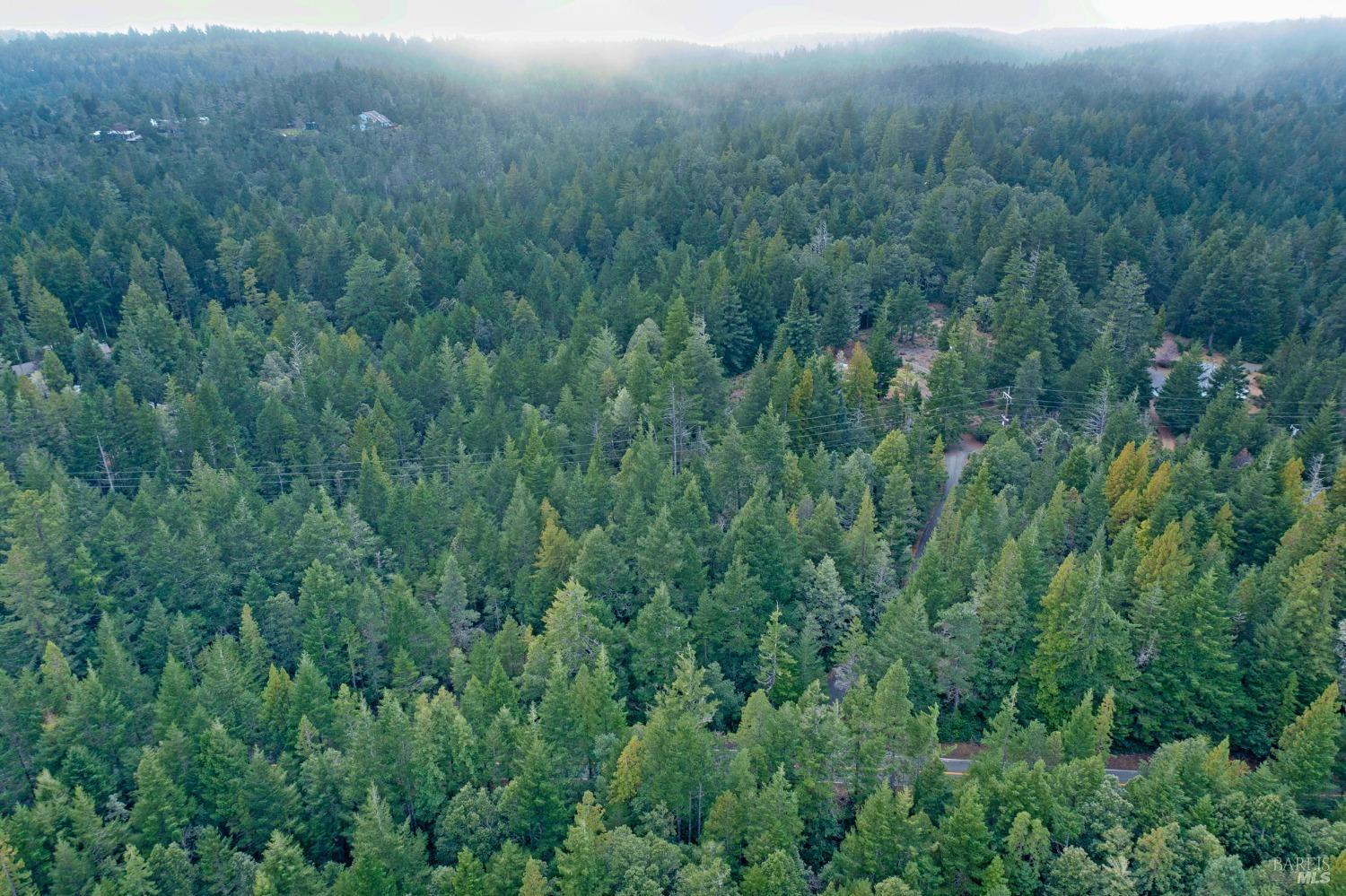 33538 Iversen Road Gualala CA 95445