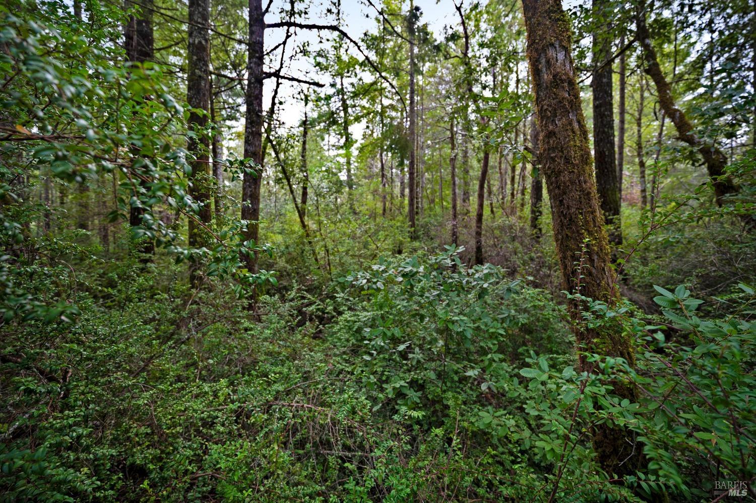 33538 Iversen Road Gualala CA 95445