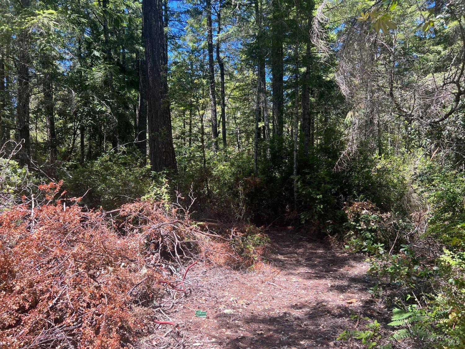 33538 Iversen Road Gualala CA 95445