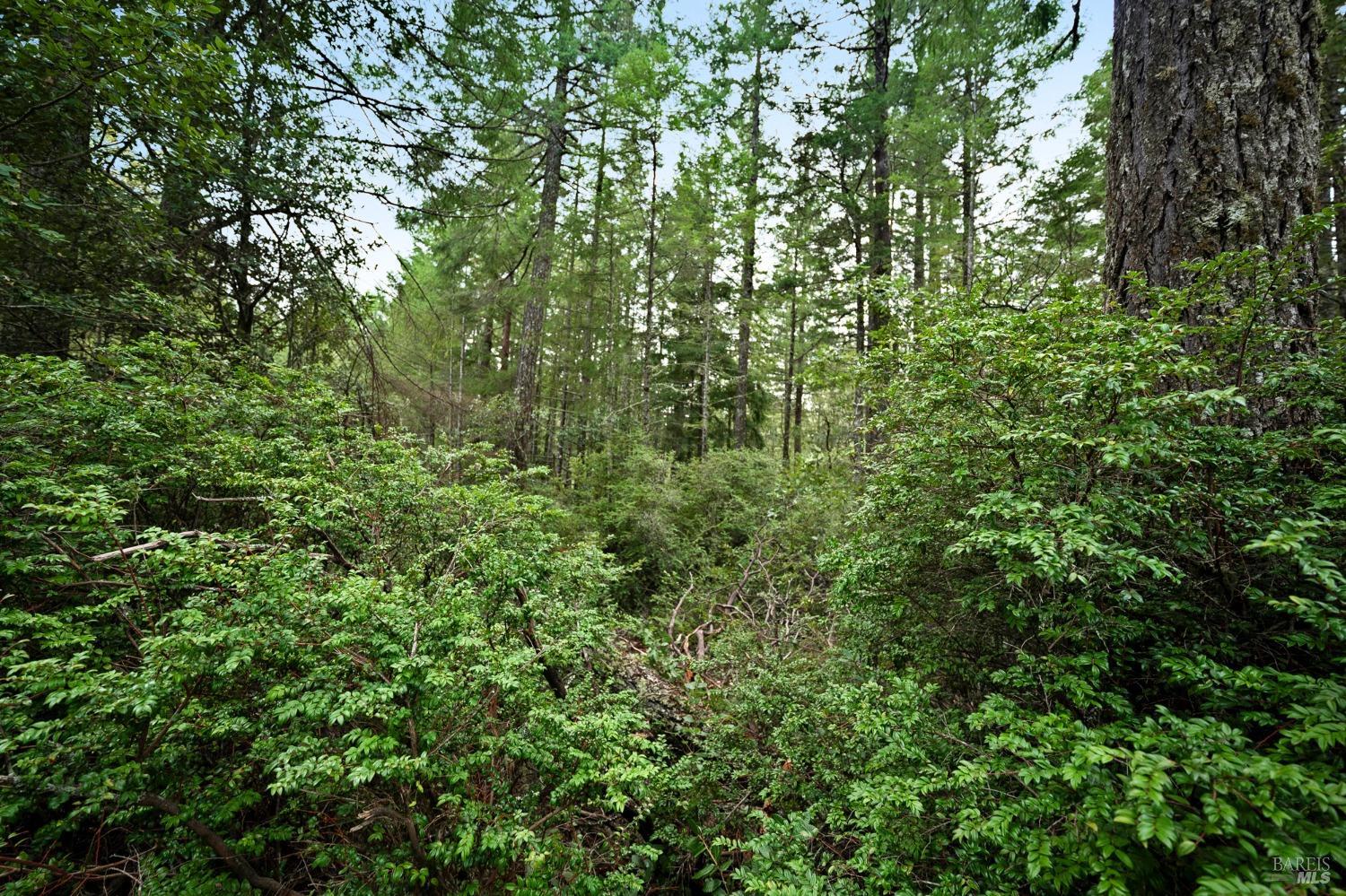 33538 Iversen Road Gualala CA 95445