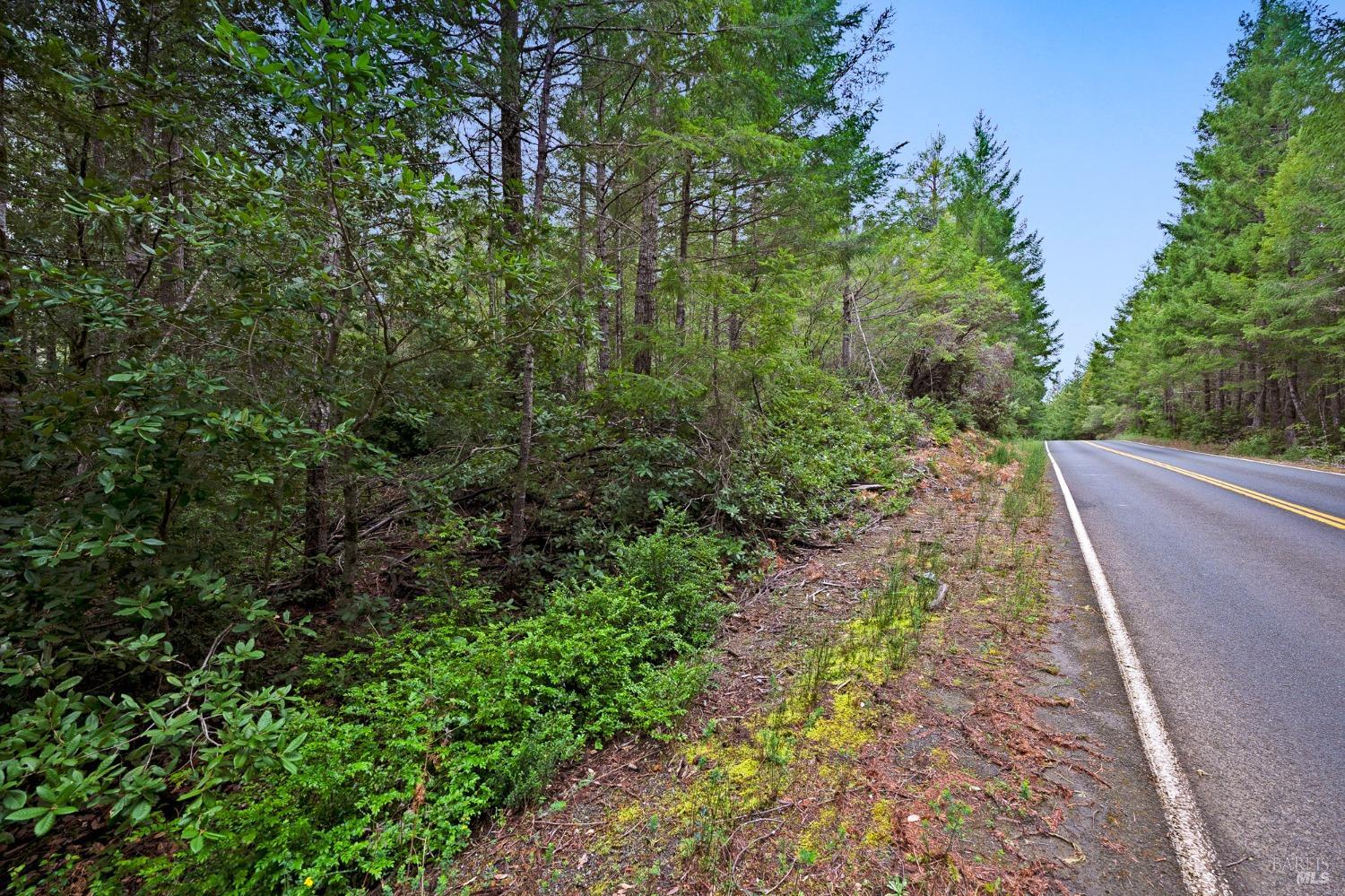 33538 Iversen Road Gualala CA 95445