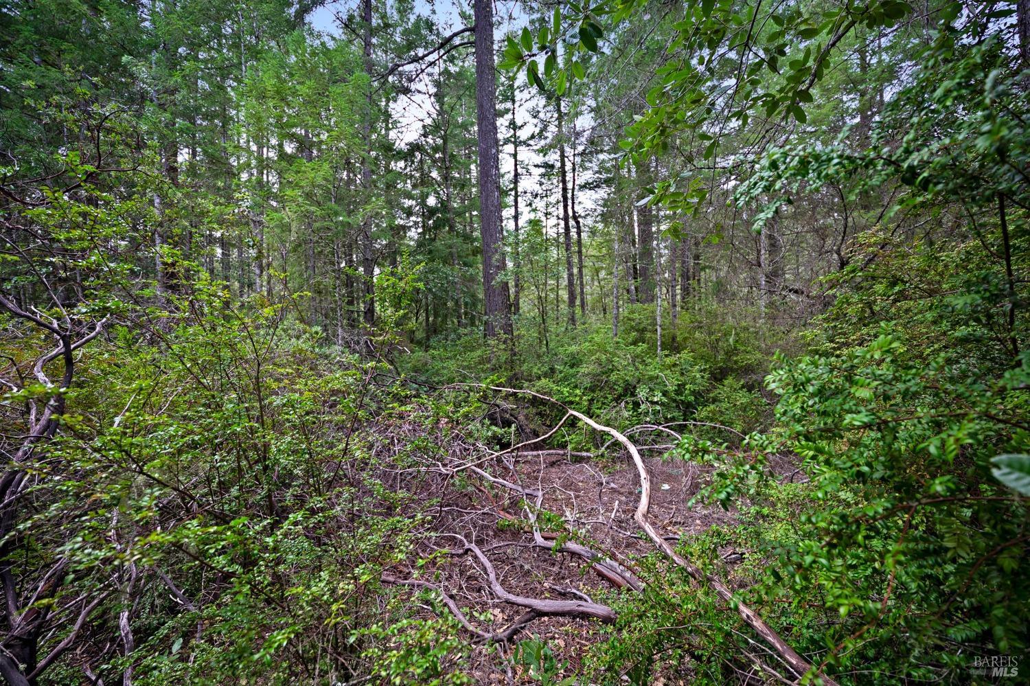 33538 Iversen Road Gualala CA 95445