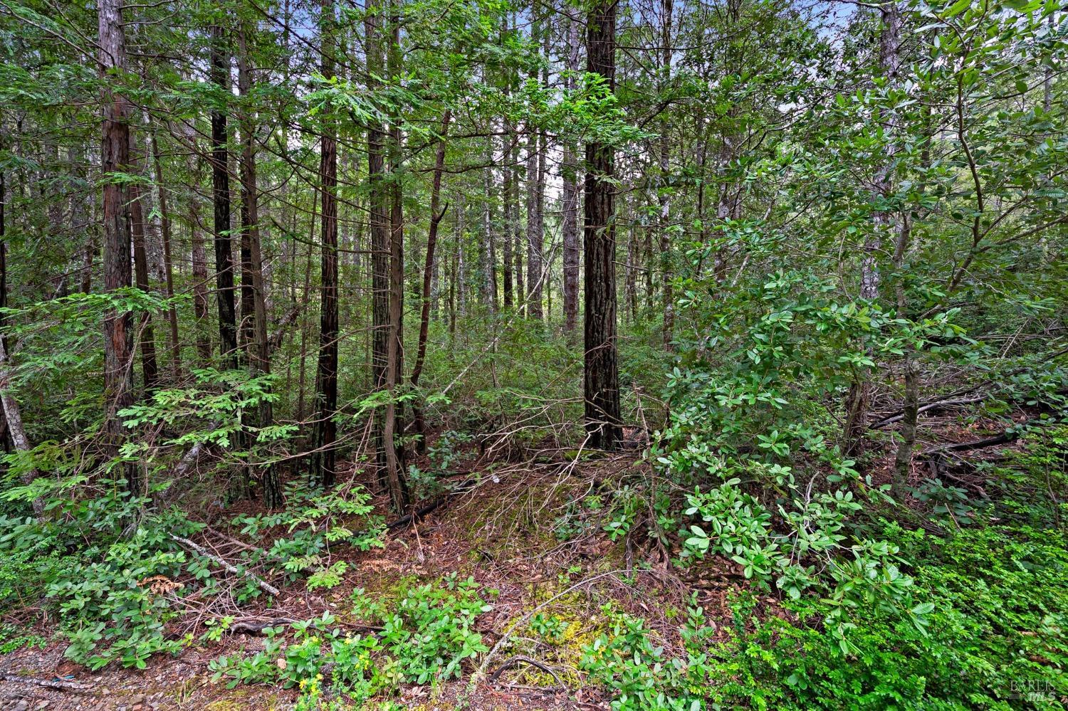 33538 Iversen Road Gualala CA 95445