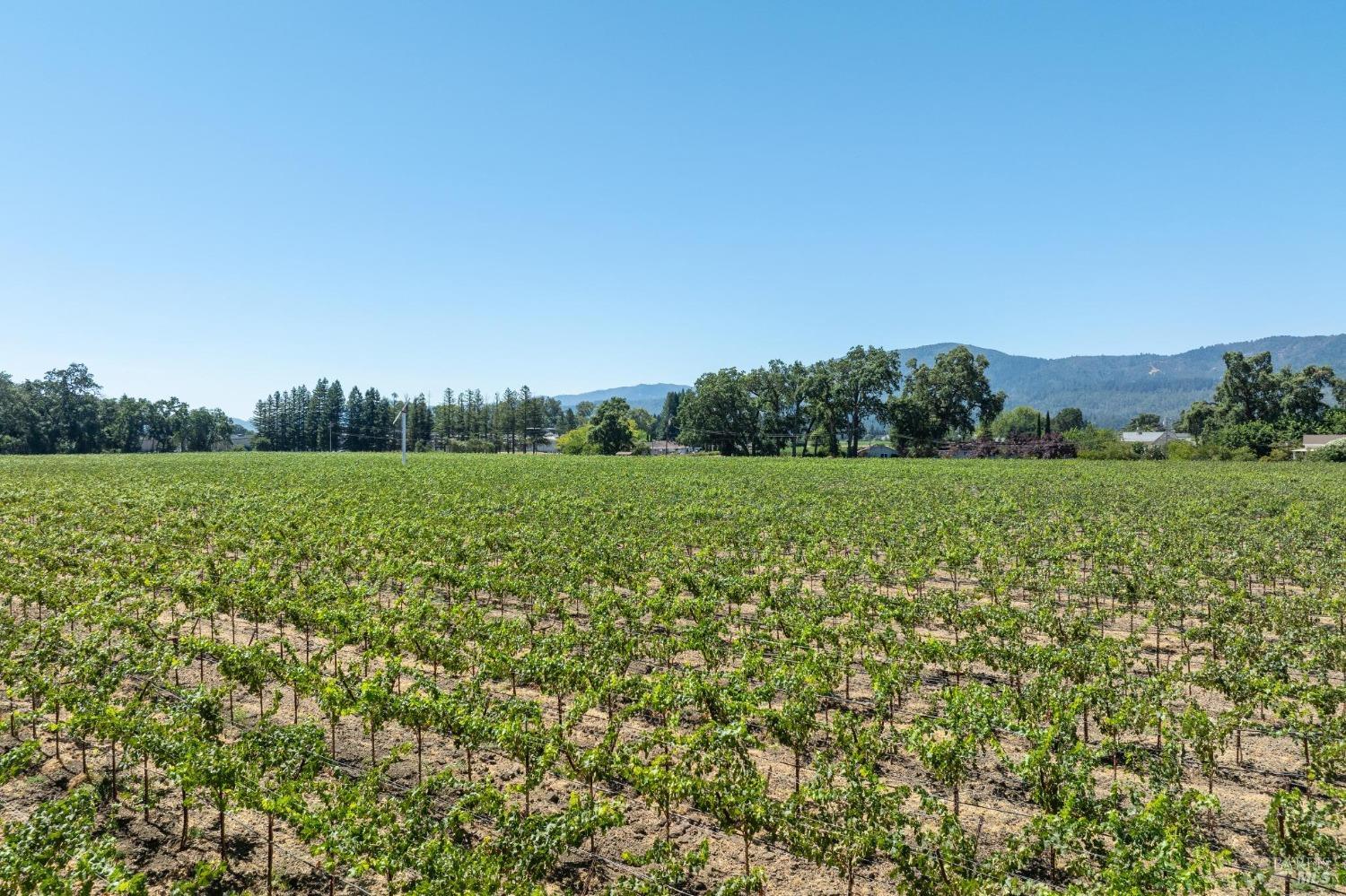 79 Zinfandel Lane St. Helena CA 94574