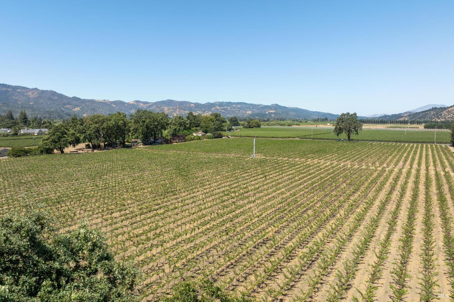 79 Zinfandel Lane St. Helena CA 94574