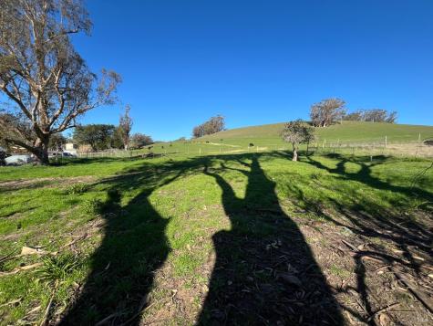 0 John Street Tomales CA 94971