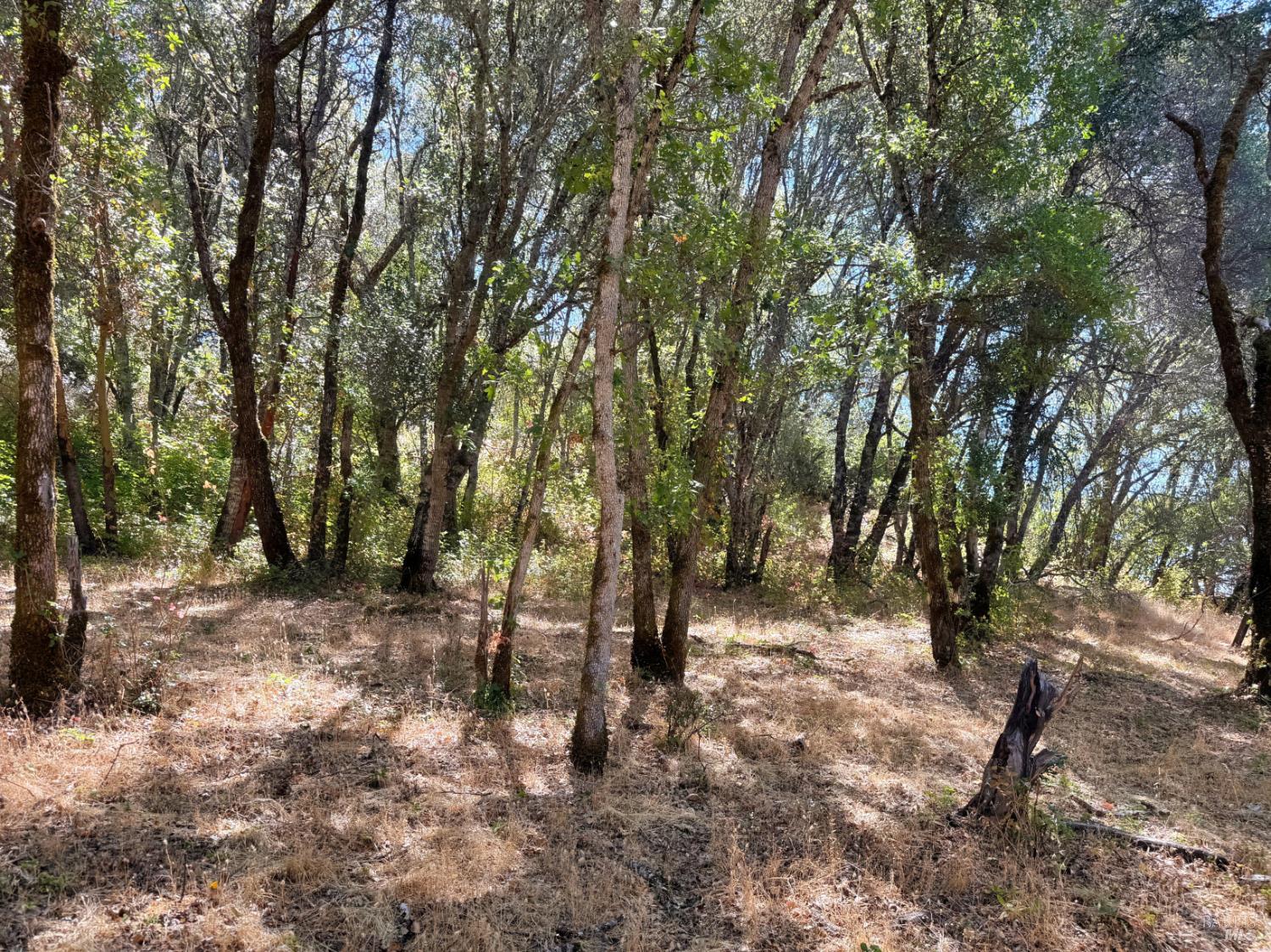 0 Lone Pine Drive Redwood Valley CA 95470