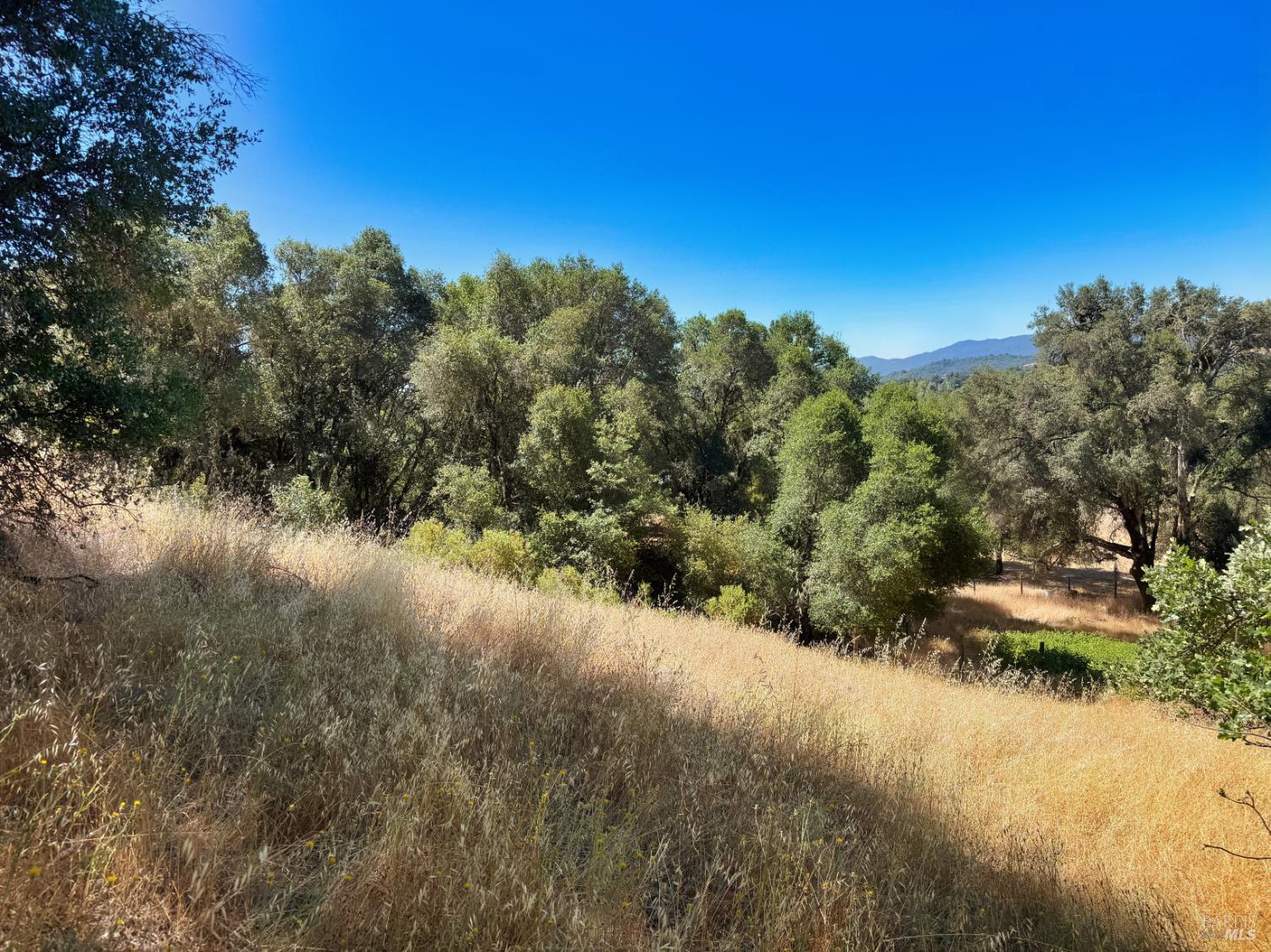 0 Lone Pine Drive Redwood Valley CA 95470