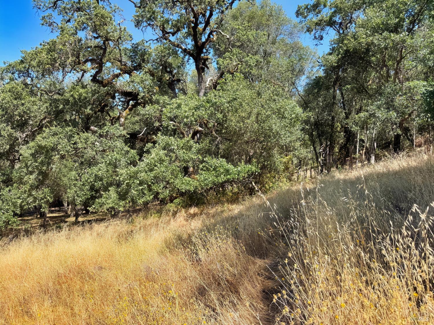 0 Lone Pine Drive Redwood Valley CA 95470