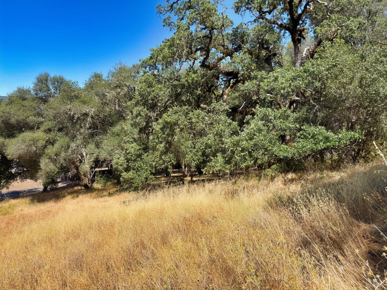 0 Lone Pine Drive Redwood Valley CA 95470