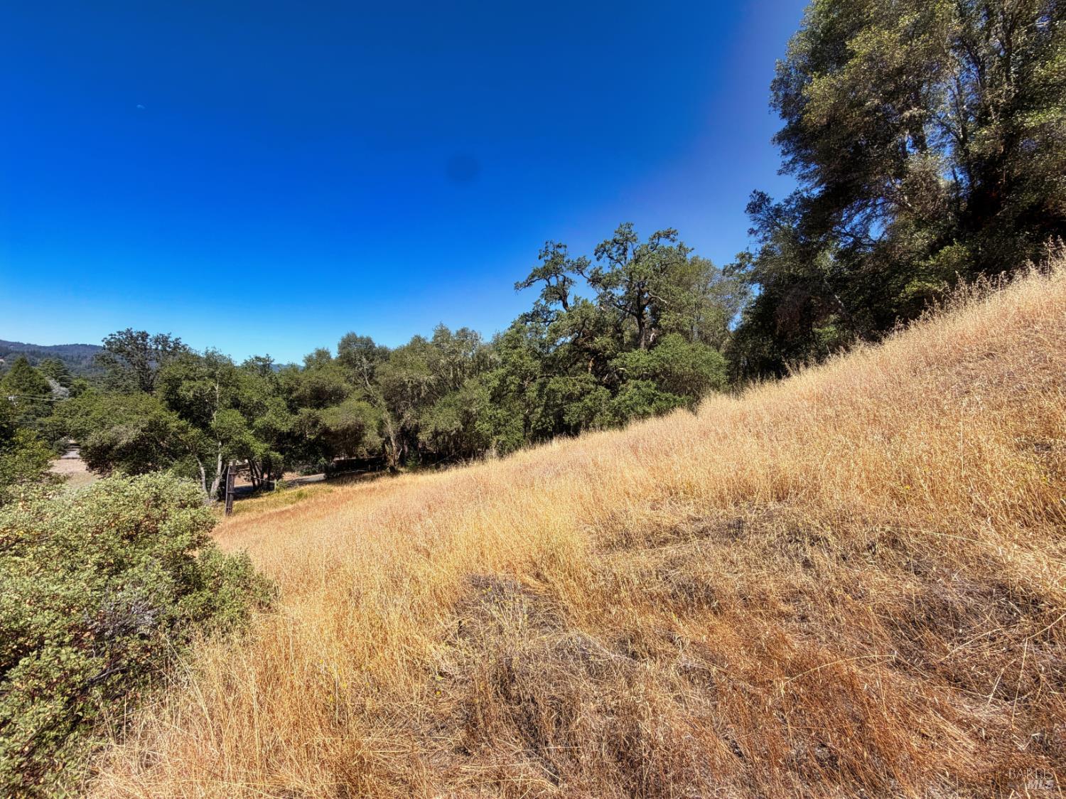 0 Lone Pine Drive Redwood Valley CA 95470