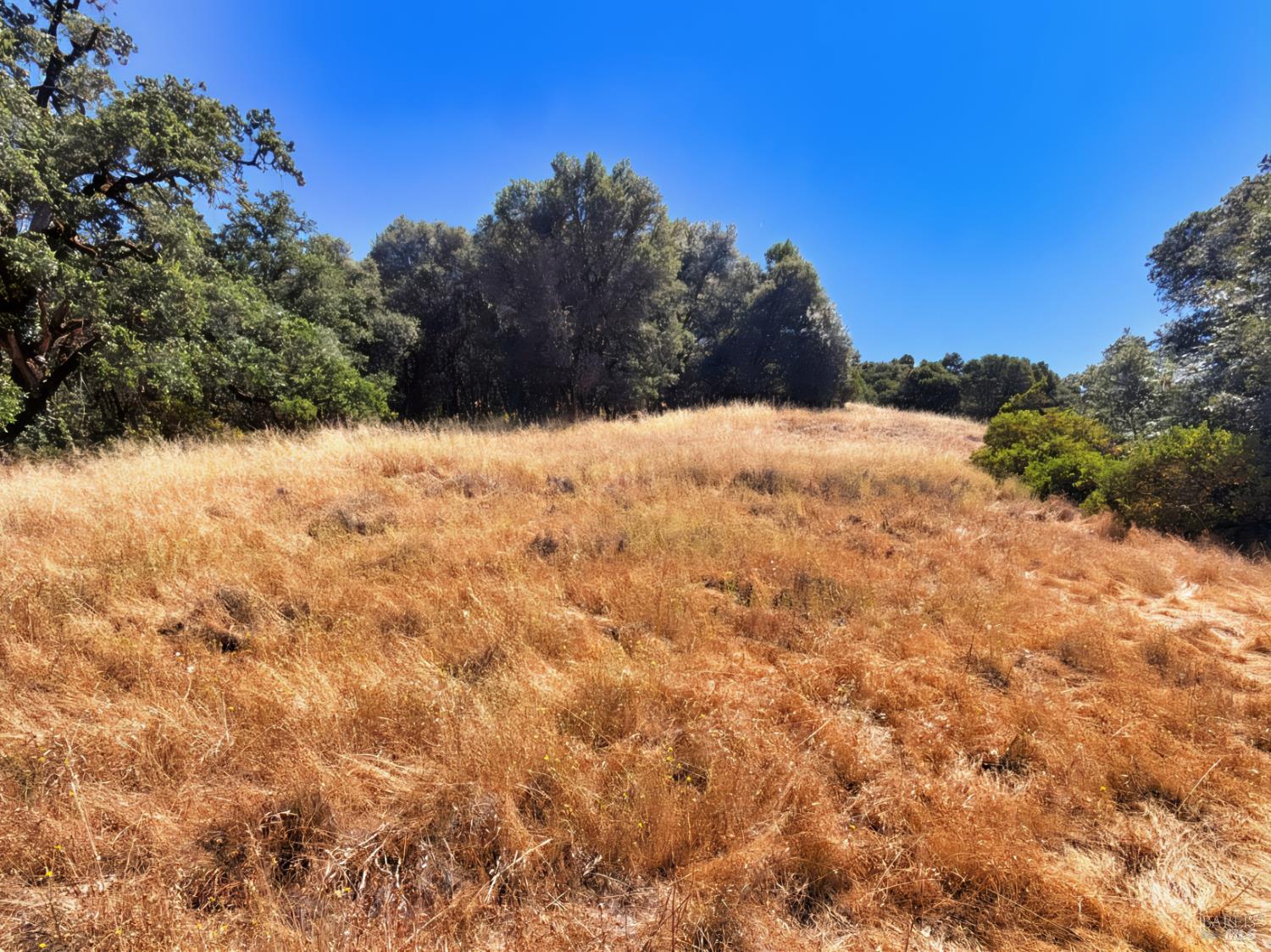 0 Lone Pine Drive Redwood Valley CA 95470