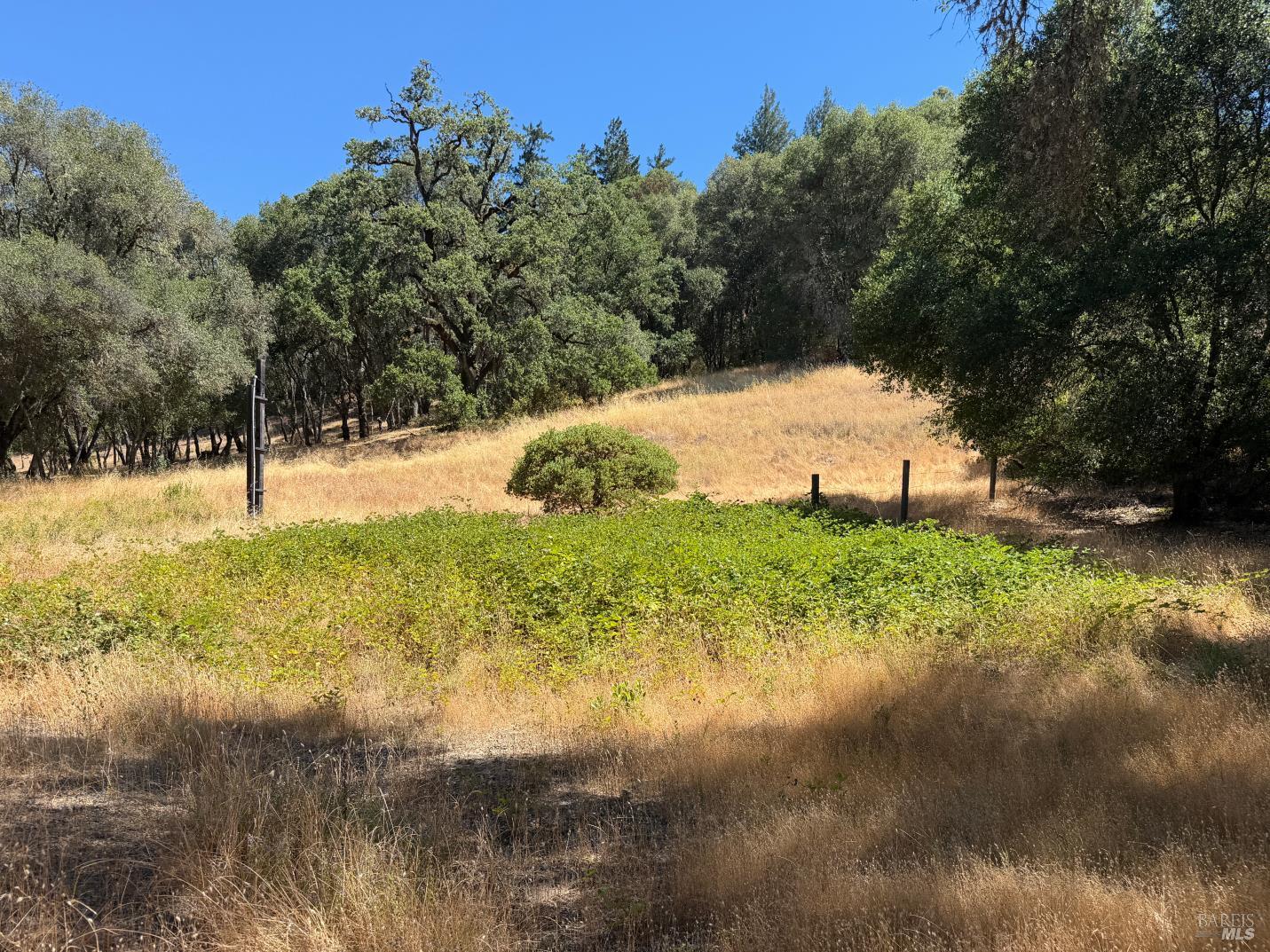 0 Lone Pine Drive Redwood Valley CA 95470