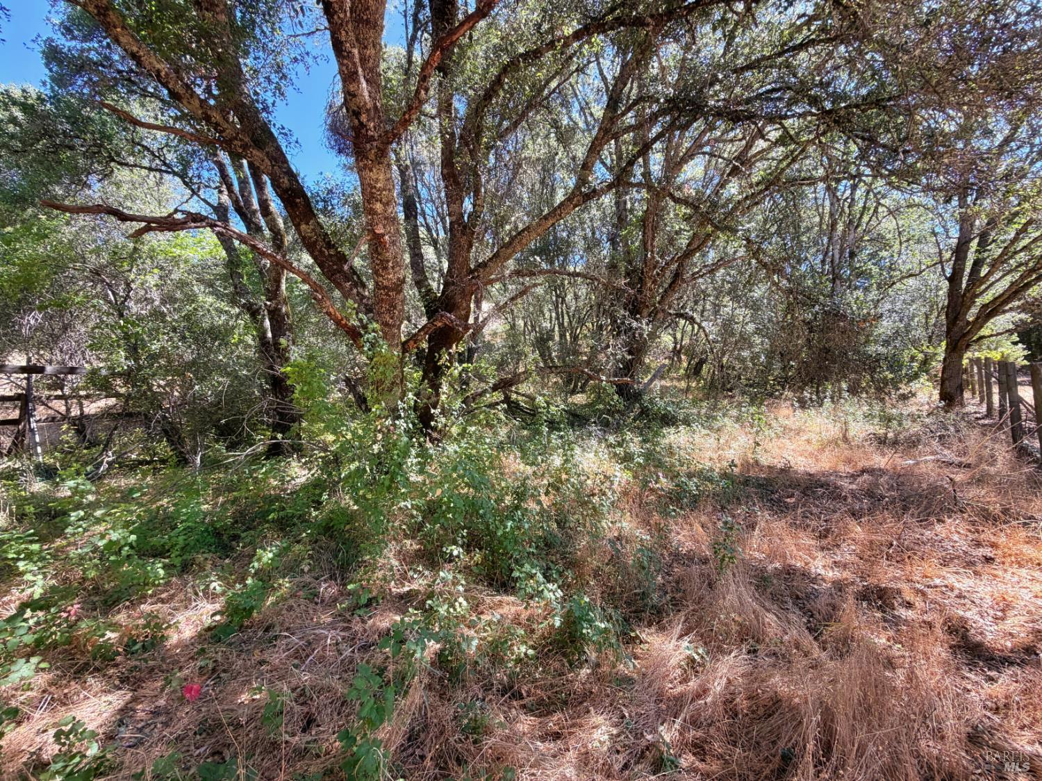 0 Lone Pine Drive Redwood Valley CA 95470