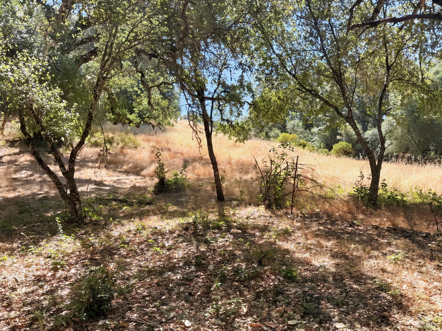 0 Lone Pine Drive Redwood Valley CA 95470
