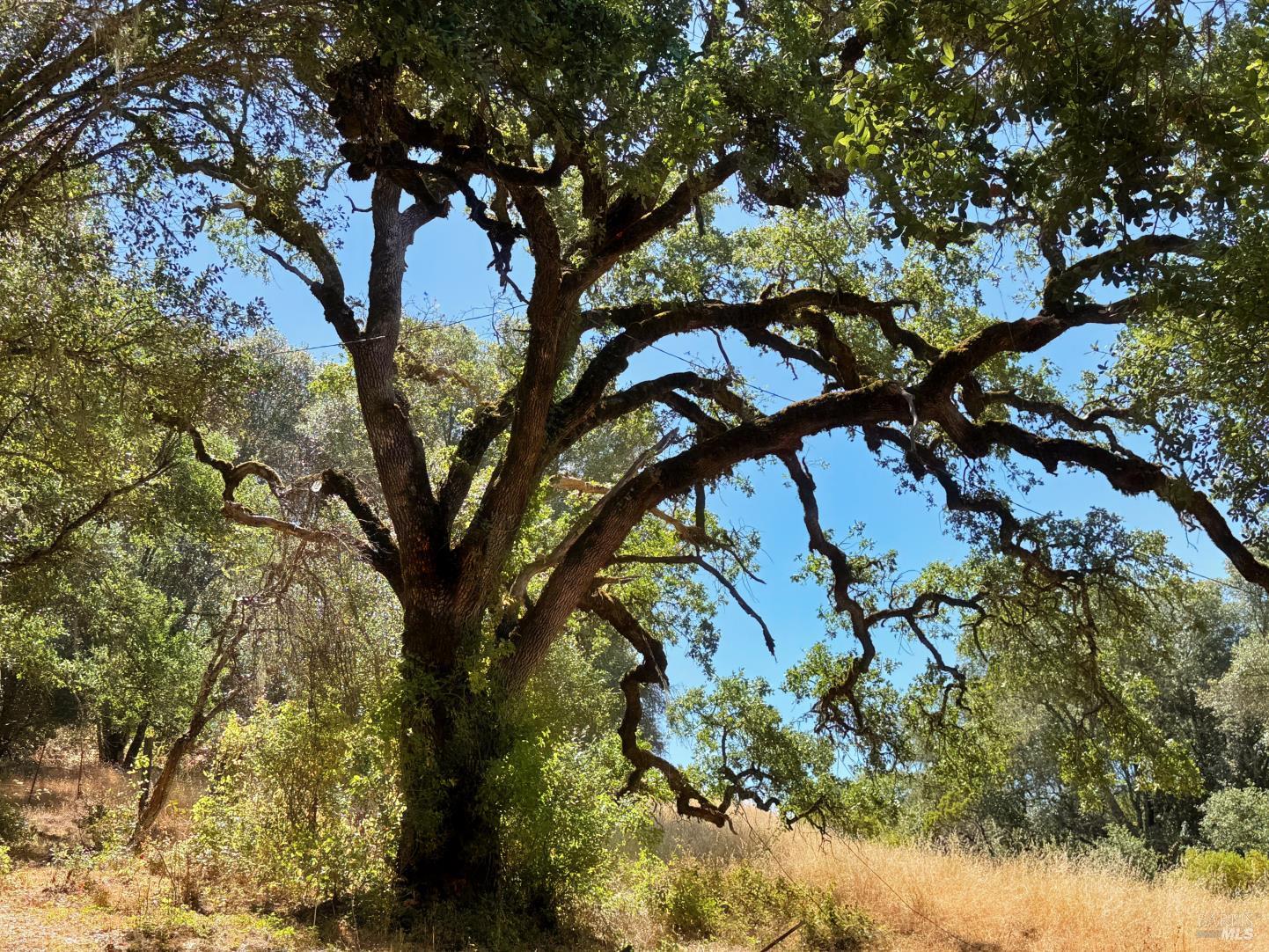 0 Lone Pine Drive Redwood Valley CA 95470