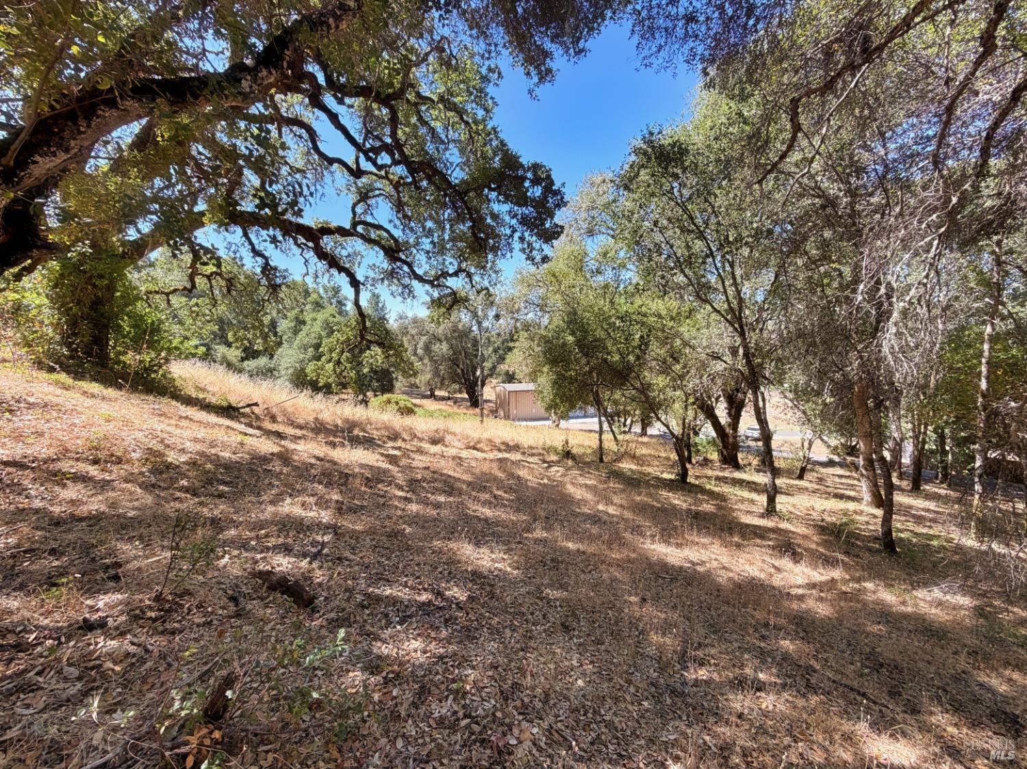 0 Lone Pine Drive Redwood Valley CA 95470